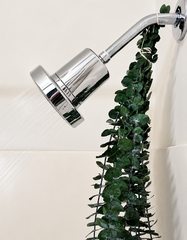 experience the best shower ever, every day, always